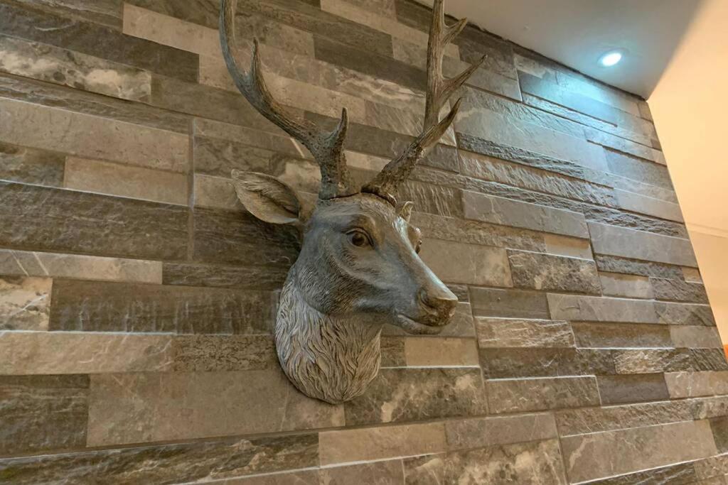 *Stunning & Spacious* 3 Bed House, 5Min From Oban Коннел Экстерьер фото